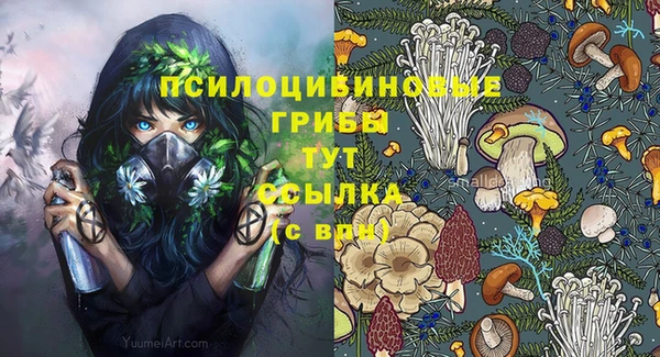 COCAINE Абаза